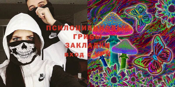 гидра Баксан