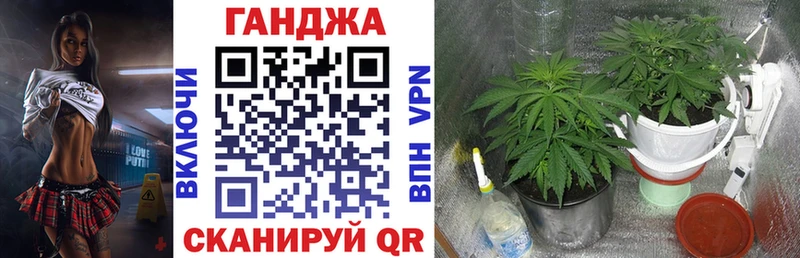 закладки  Звенигово  Конопля Ganja 